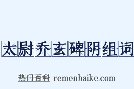 太尉乔玄碑阴组词是什么意思的图片
